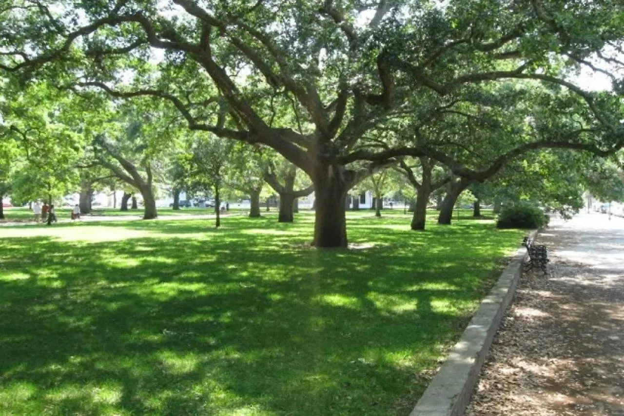 Sweet Spacious Holiday home Charleston