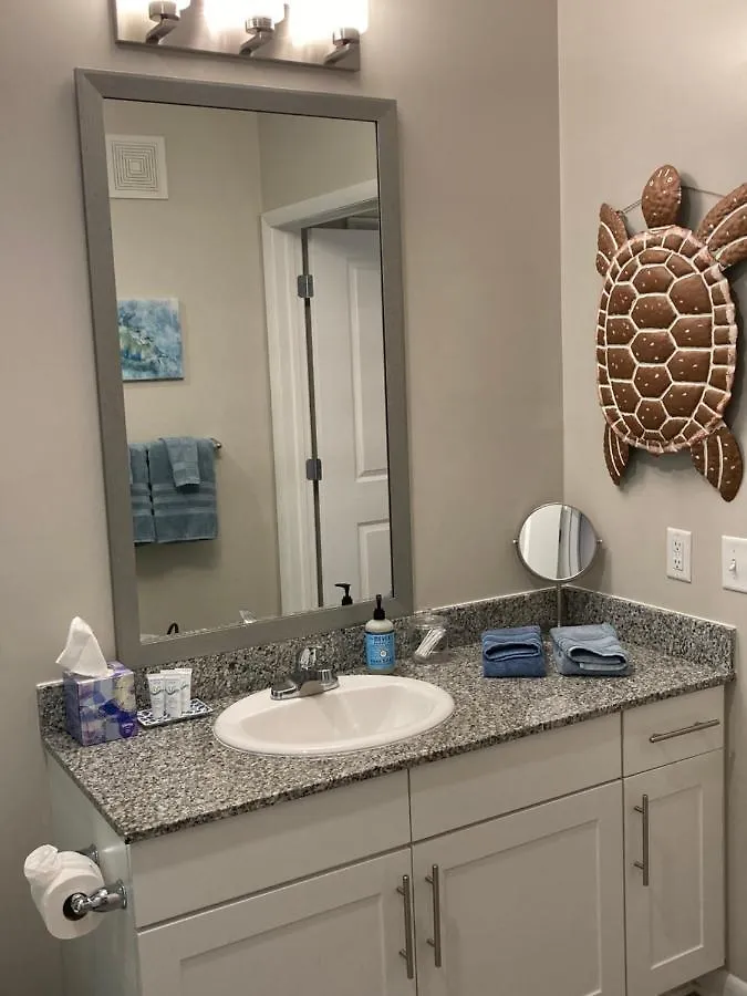 King Bed Pool Trendy Nbhd Sea Turtle * Charleston