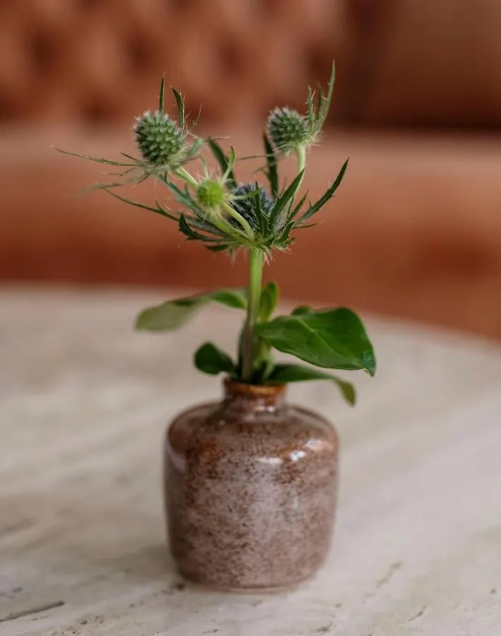 The Pinch Hotel