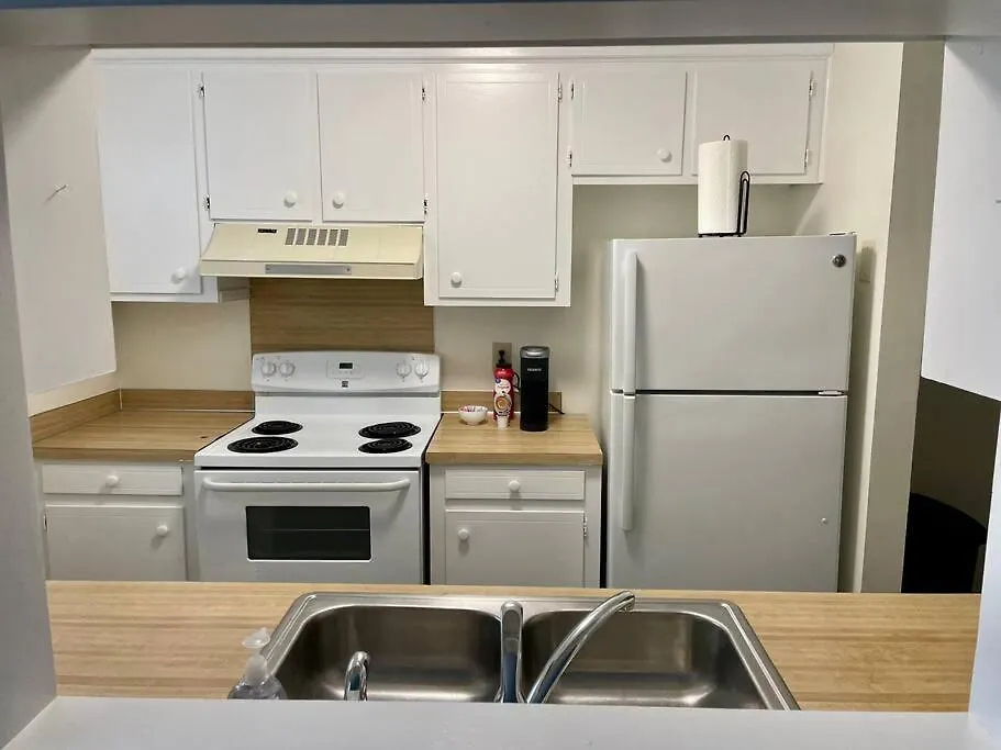 Midnight Oasis Apartment