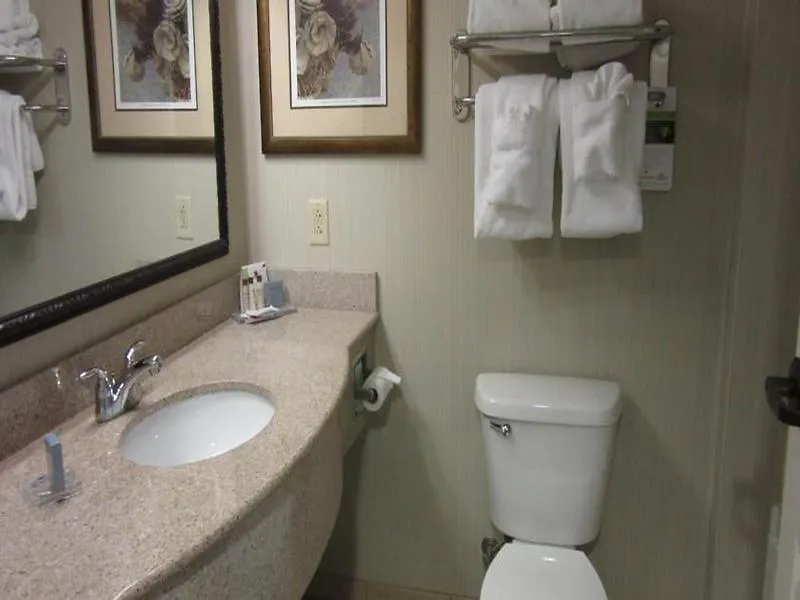 Wingate By Wyndham Charleston Southern Hotel 3*