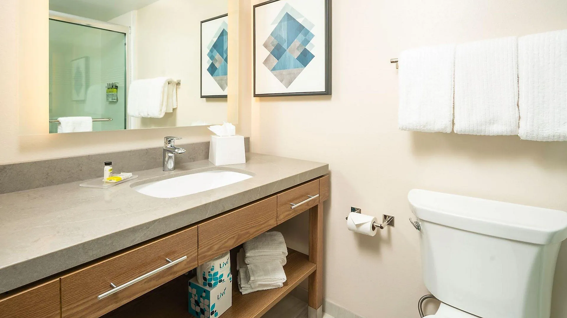 Candlewood Mt. Pleasant-charleston فندق 2*