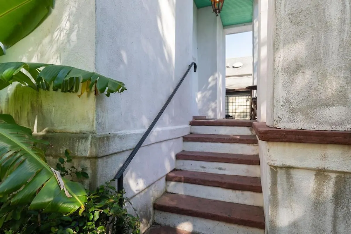 Apartment European In The Heart Of Charleston