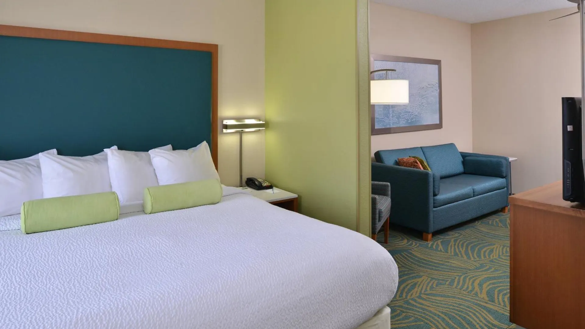 Springhill By Marriott Riverview Hotel