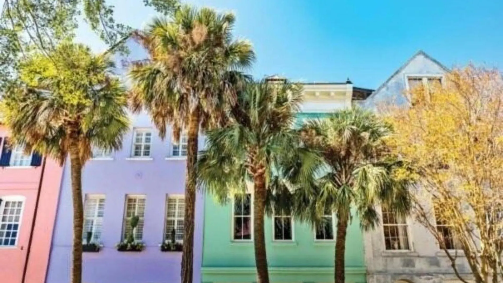 Sunset Serenity!!-tropical Waterfront Oasis-huge Private Patio-10min To Kingst & Beaches *