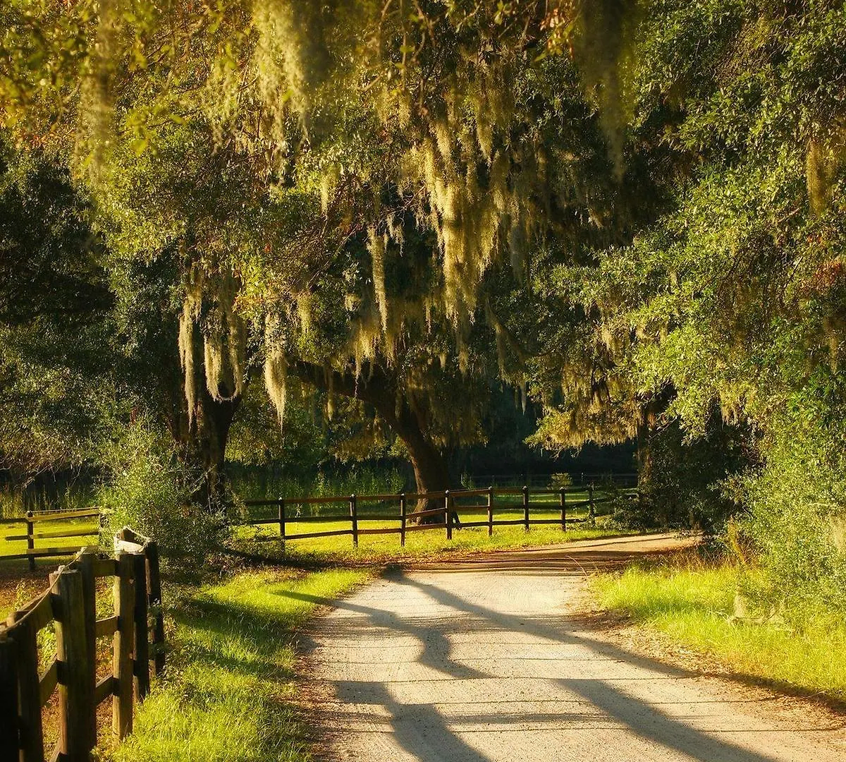 The At Middleton Place
