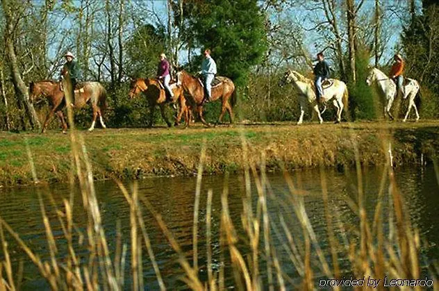 The At Middleton Place Station touristique 3*