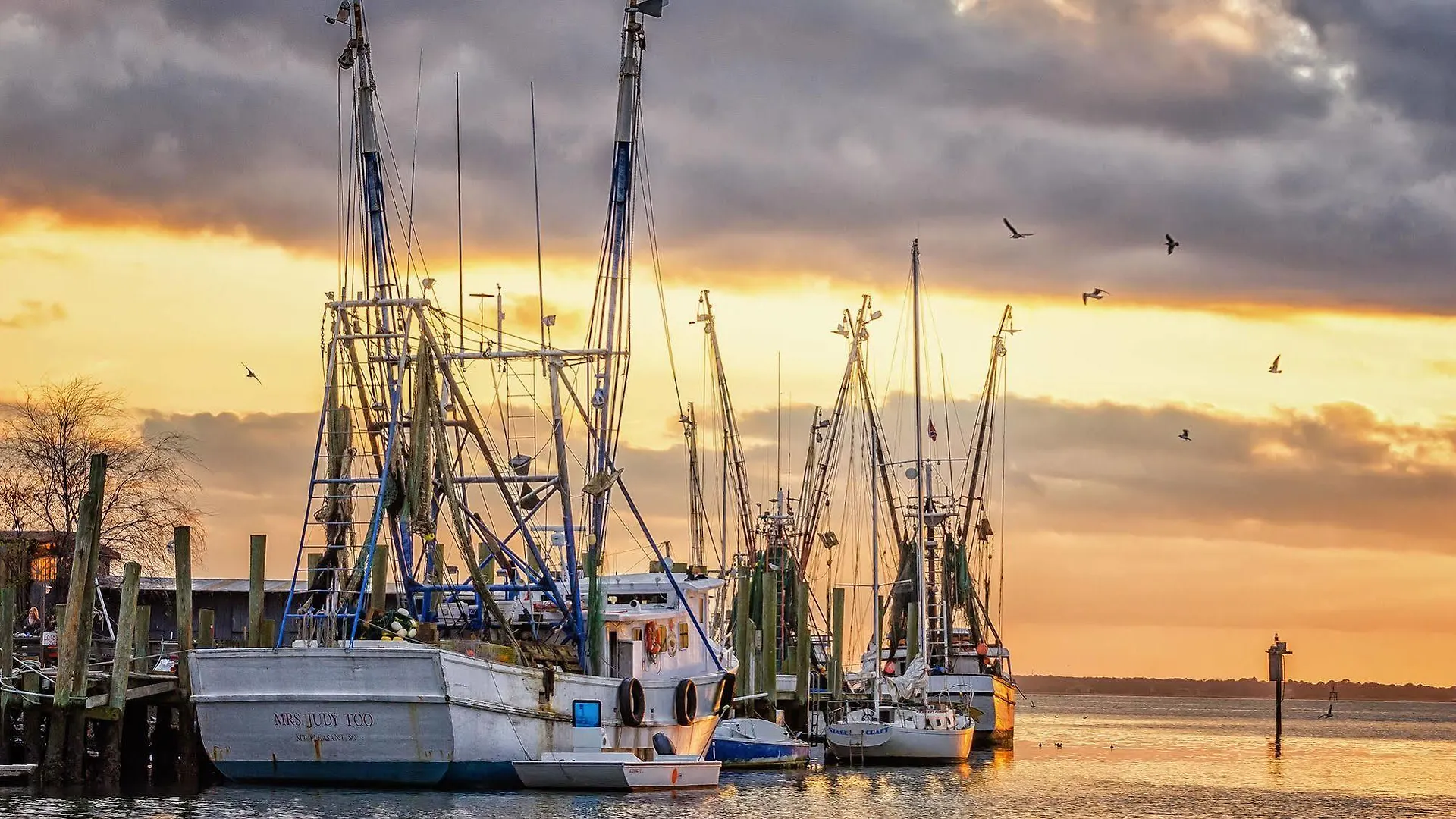 Shem Creek