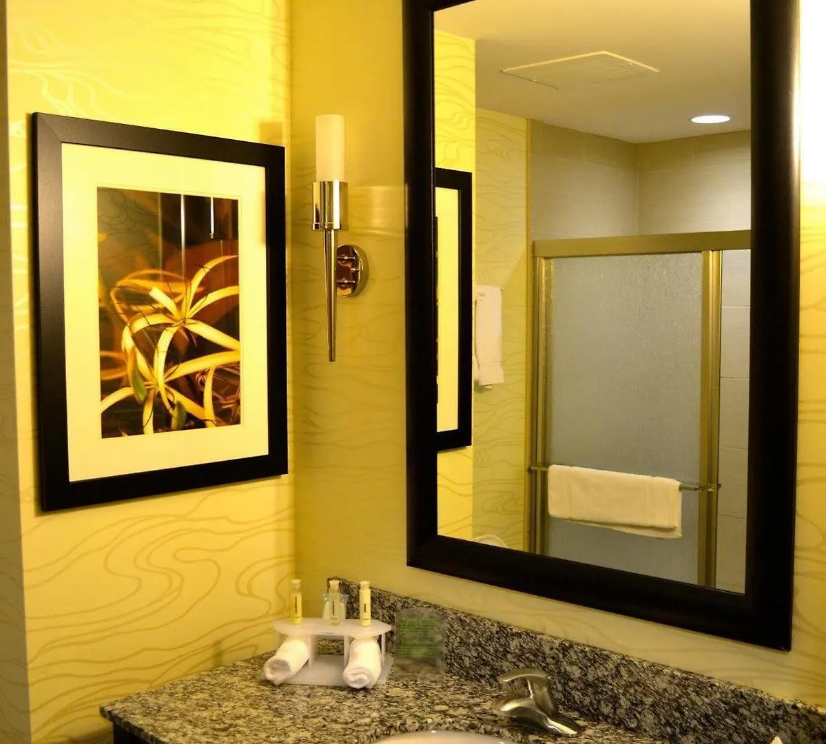 Holiday Express & Charleston Arpt-conv Ctr Area By Ihg Hotel