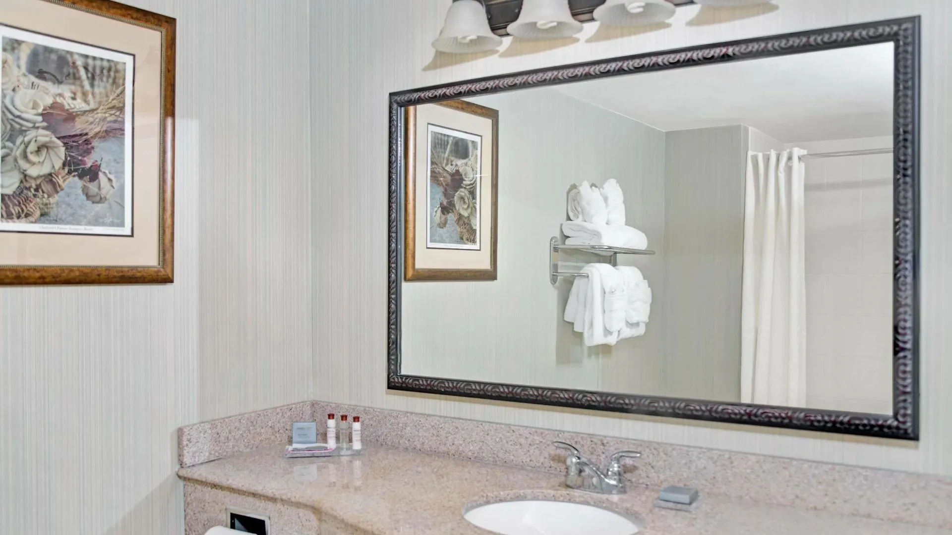 Wingate By Wyndham Charleston Southern University Hotel 3*