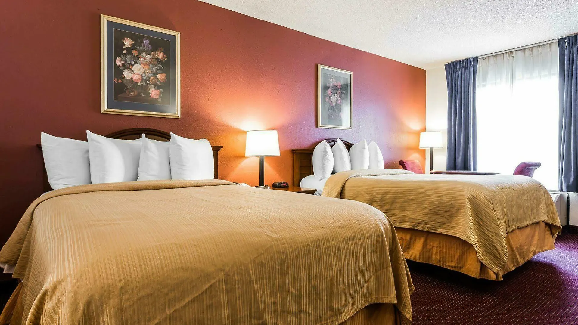 Quality Coliseum Mini-hôtel 3*