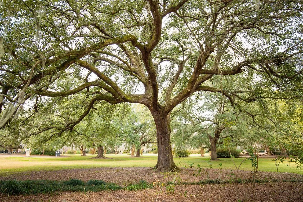 195 East Bay Lägenhet Charleston