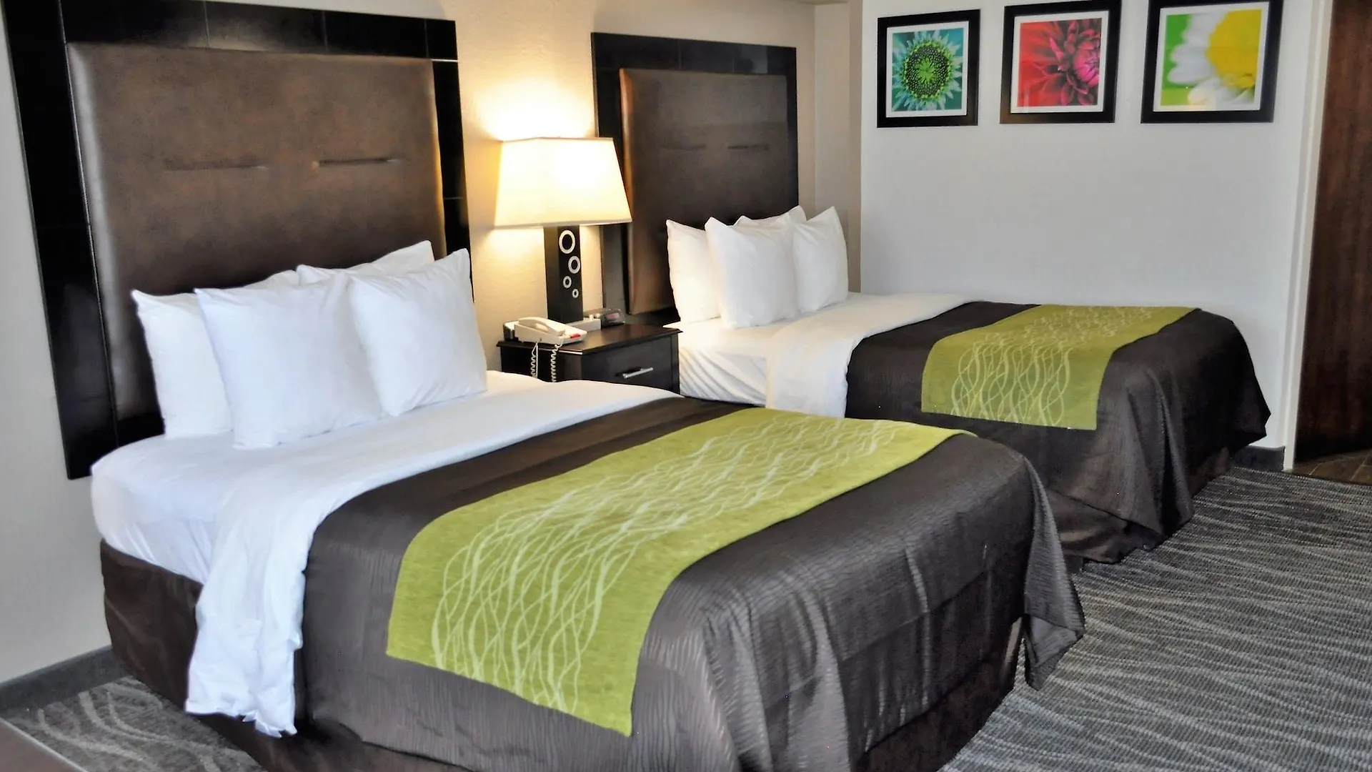 Comfort Downtown Inn Charleston