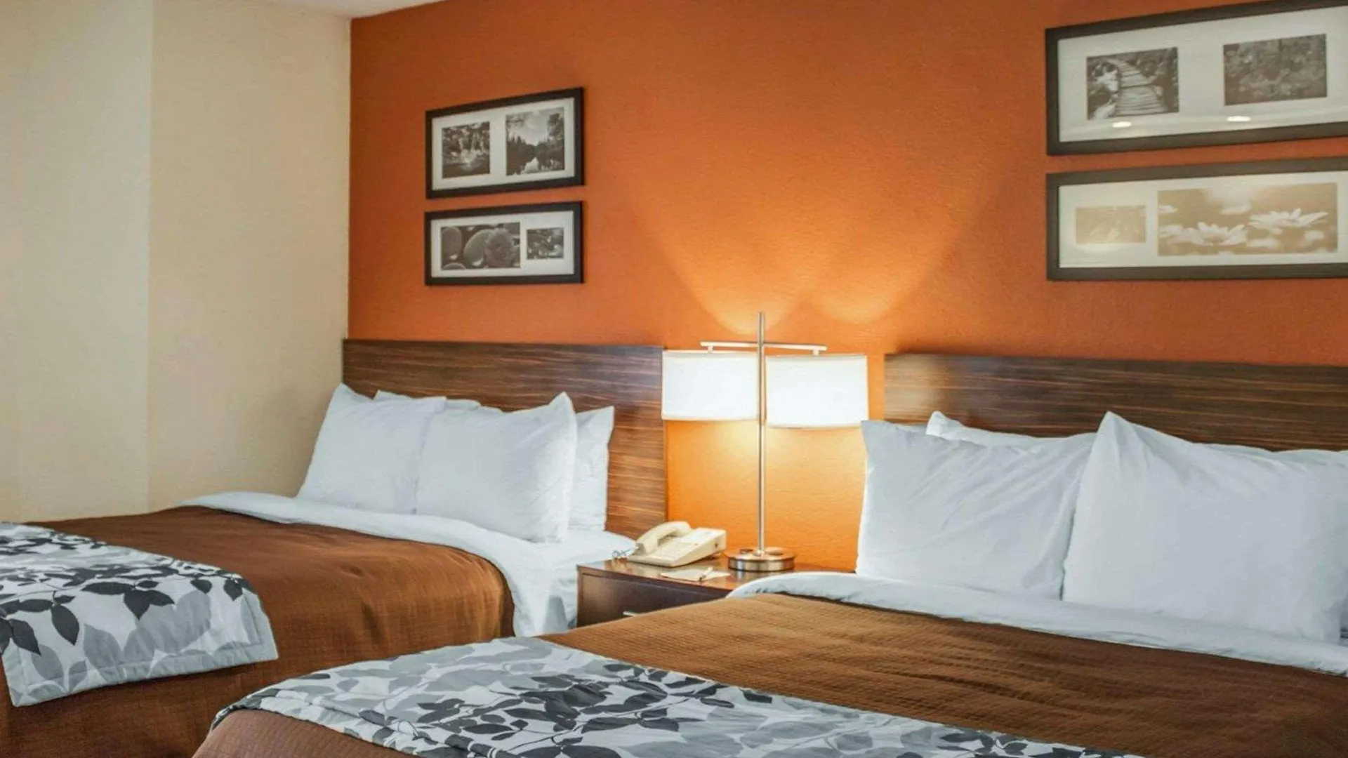 Sleep Ashley Phosphate Inn 2*