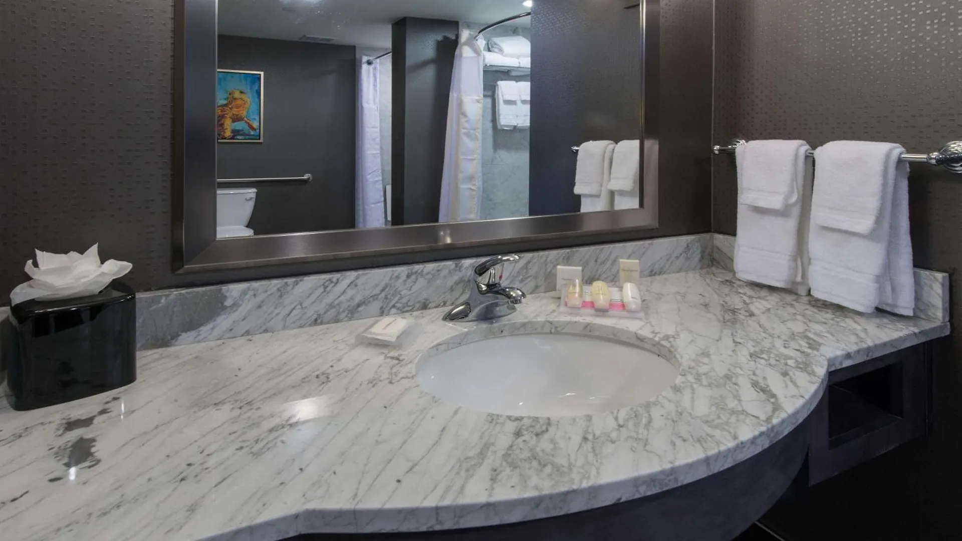 Hilton Garden Waterfront/downtown Hotel 3*