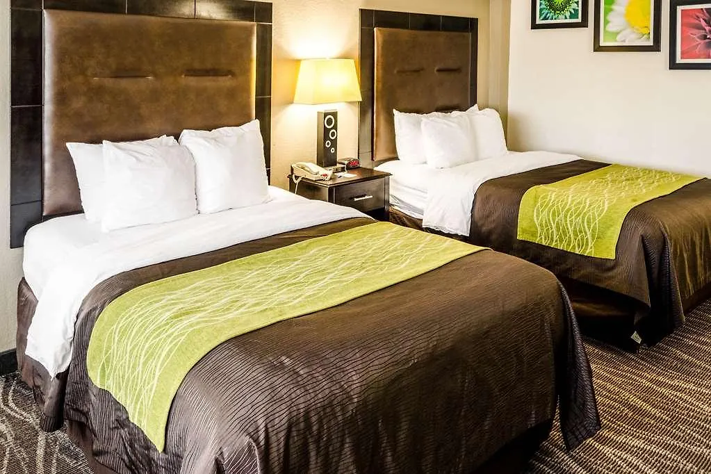 Comfort Downtown Inn