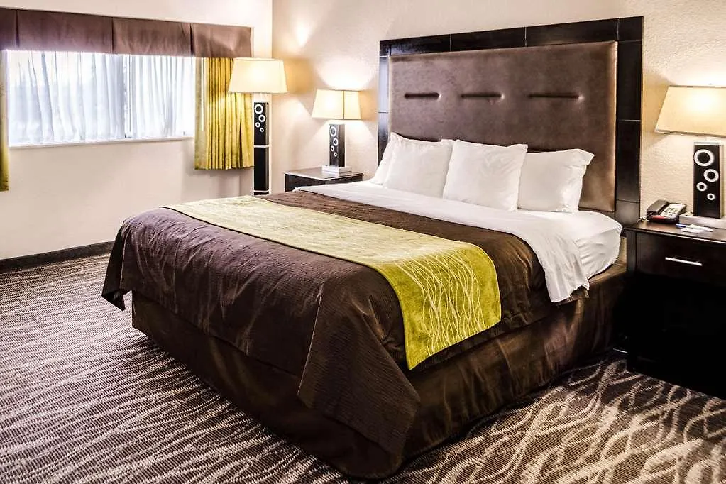 Comfort Downtown Inn 3*