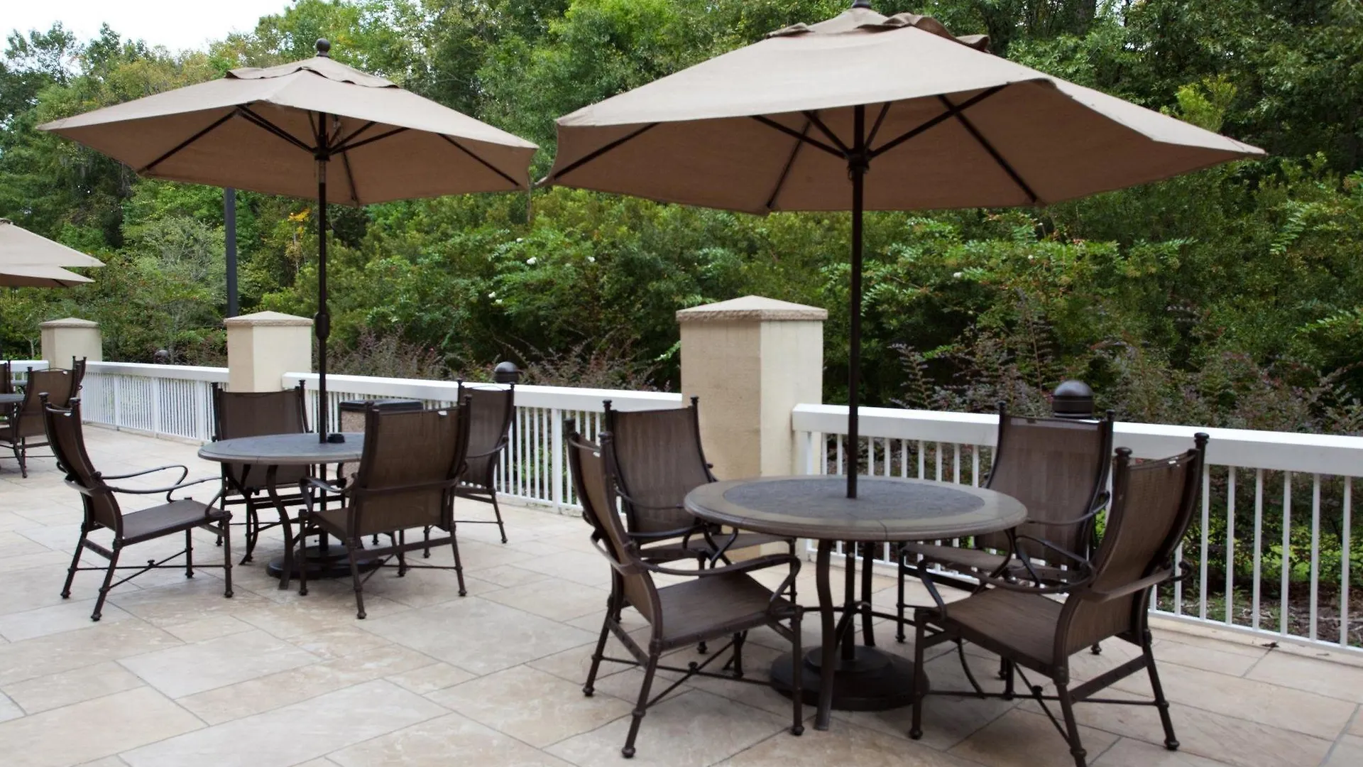 Hilton Garden Charleston Airport Hotel North Charleston