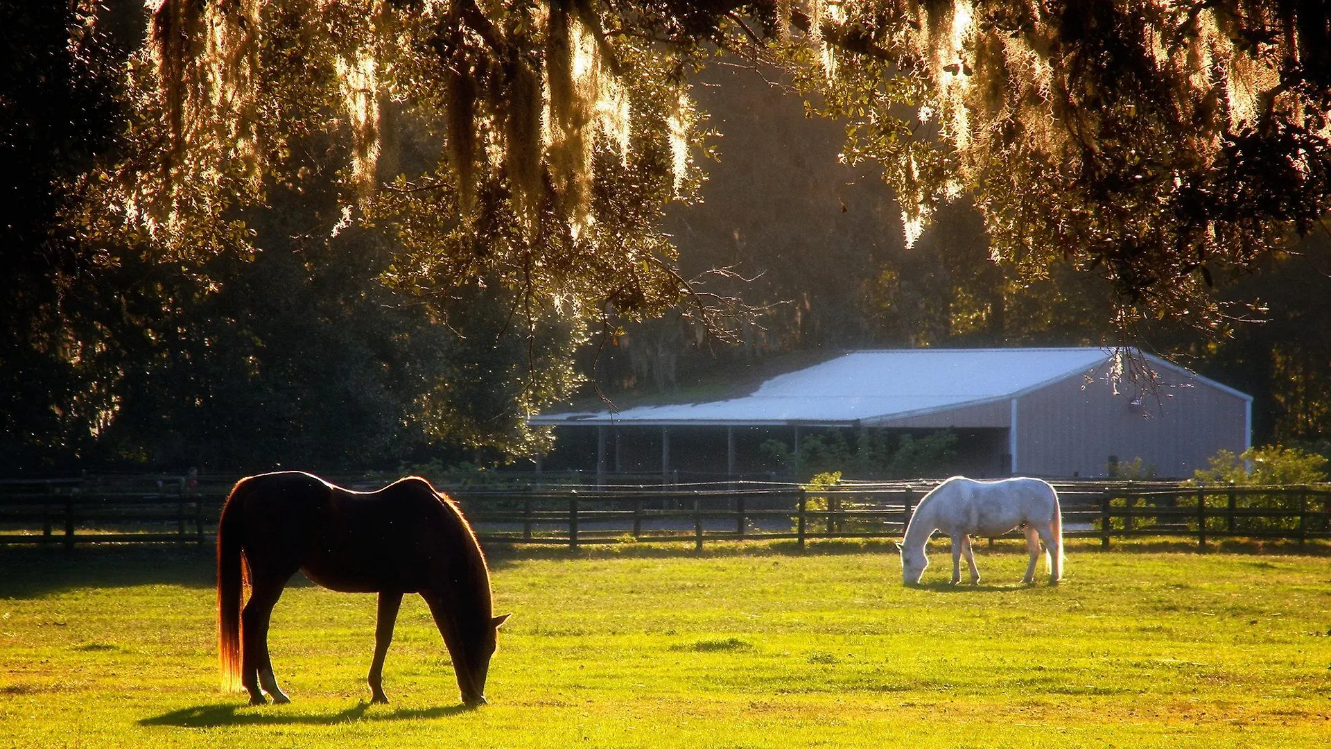 Resort The At Middleton Place