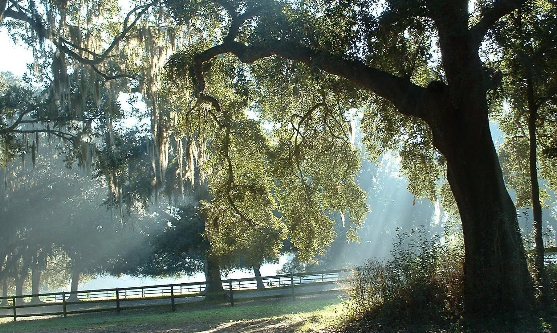 Resort The At Middleton Place 3*