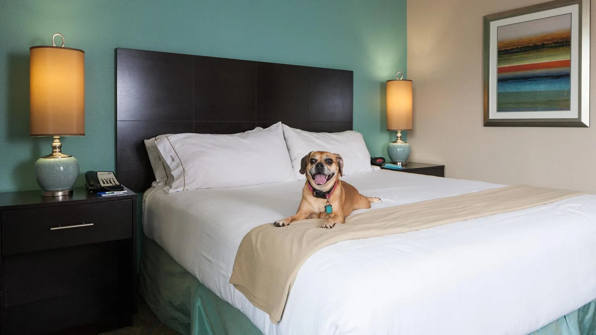Express & Dwtn -westedge By Ihg 3*