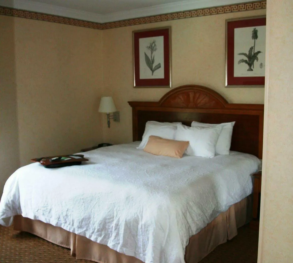 Hampton Charleston North 3*